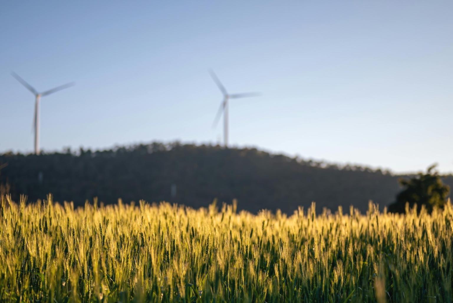 Environnement de travail collaboratif en ligne